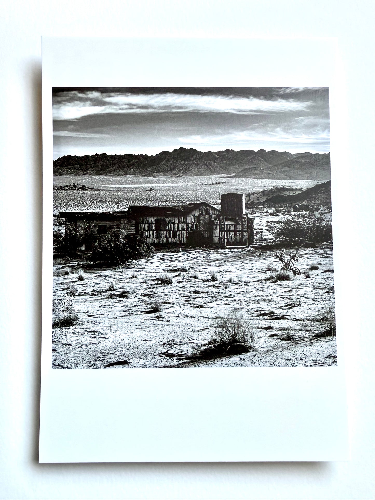 Postcard Photo: Abandoned Homestead