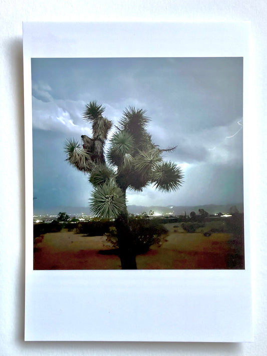 Postcard Photo:  Lightning Storm Joshua Tree