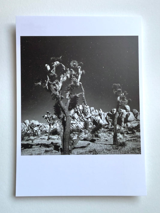 Postcard Photo:  Night Sky, JTNP